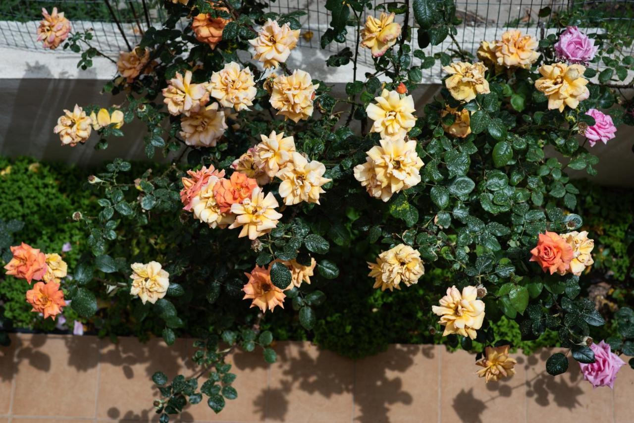 Dreamy Holidays Apartment 干尼亞 外观 照片