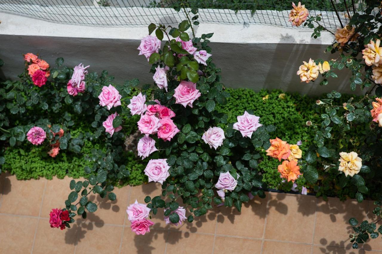 Dreamy Holidays Apartment 干尼亞 外观 照片